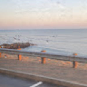 Meet your Posher, Maggie